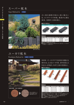 Adobe Photoshop PDF