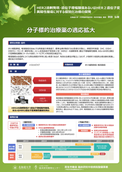 HER2過剰発現・遺伝子増幅腫瘍あるいはHER2遺伝子変異陽性腫瘍