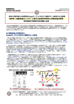 印刷をご希望の方はこちら（PDF）