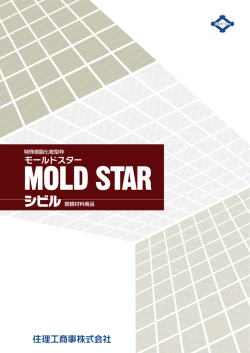 モールドスターシビル