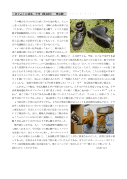 （第3回） 登山靴