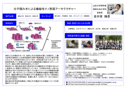 分子積み木による機能性ナノ界面アーキテクチャー 金