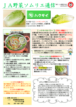 JA野菜ソムリエ通信