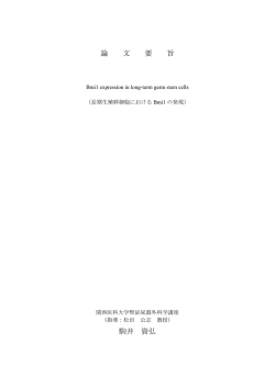 論文要旨（要約）