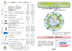 概要版 (ファイル名：touganekenkoupuran21(dai2ji)gaiyouban