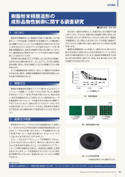 樹脂粉末積層造形の 成形品物性制御に関する調査研究