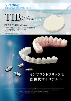 トリニア インプラントブリッジちらし - 松風 S