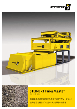 STEINERT FinesMaster