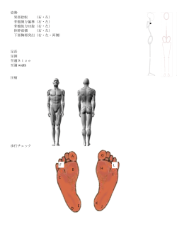 姿勢 果部捻転 （右・左） 骨盤側方偏移（右・左） 骨盤後方回旋（右・左） 体