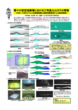 E-3)三宅島火山ガスの挙動