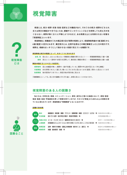 視覚障害 PDF：813KB
