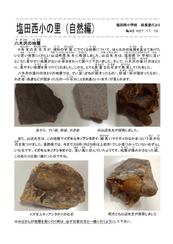 八木沢の地層