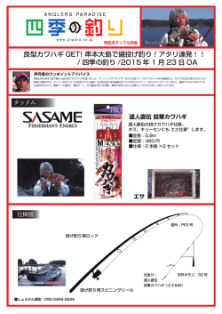 良型カワハギ GET! 串本大島で磯投げ釣り！アタリ連発！！ / 四季の