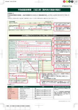 外為送金依頼書 兼 告知書 ご記入例
