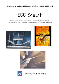 ECC ショット
