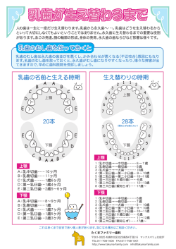 乳歯が生え替わるまで