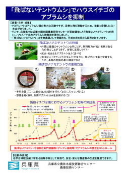 飛ばないテントウムシ - 兵庫県立農林水産技術総合センター