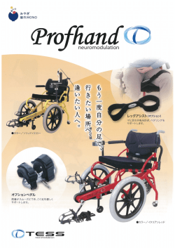 レッグアシスト(オプション)
