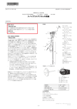 スパイグラスデジタル内視鏡 - Boston Scientific