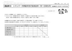 調査票 B エネルギー消費量実態把握調査票（第1回報告用）