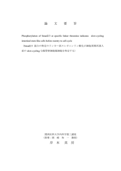 論文要旨（要約）