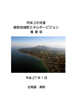 森町地域新エネルギービジョン概要版