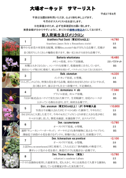 大場オーキッド サマーリスト