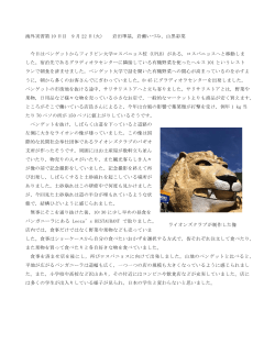ライオンズクラブが制作した像 海外実習第 10 日目 9 月 22 日(火) 岩田