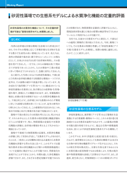 砂泥性藻場での生態系モデルによる水質浄化機能の定量的評価(いであ i