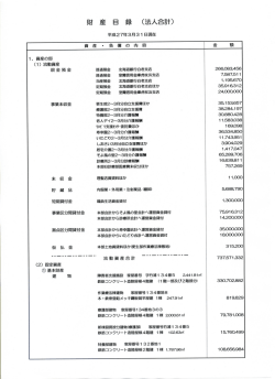 財 産 目 録 (法人合計)