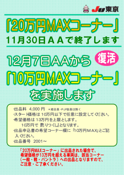 ・出品料 4,000 円 ・スタート価格は10万円以下で任意に設定してください