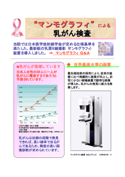 資料：PDF形式