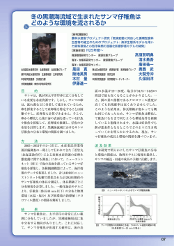 冬の黒潮海流域で生まれたサンマ仔稚魚は どのよう