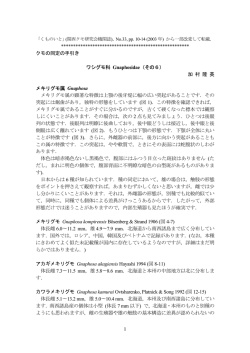 メキリグモ属