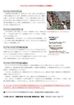 ヤンバルトサカヤスデの発生にご注意を！