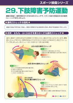 内容を見る：PDF（454KB）