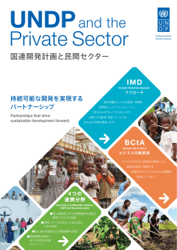 UNDPと民間セクターの連携パンフレット（日本語）