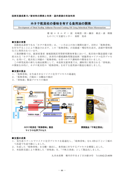 ホタテ乾貝柱の香味を有する食用油の開発