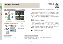 研究紹介PDF