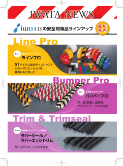 IWATANEWS No.28