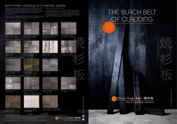 THE BLACK BELT OF CLADDING