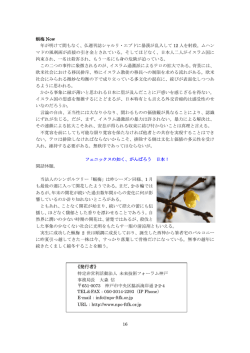 蝋梅 Now