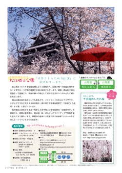 松江城山公園