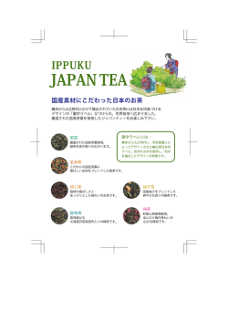 IPPUKUジャパンティーpopB6