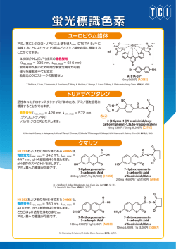 蛍光標識色素