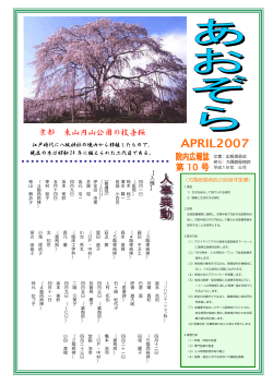京都 東山円山公園の枝垂桜