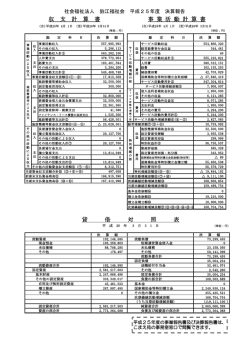 貸 借 対 照 表 収 支 計 算 書 事 業 活 動 計 算 書