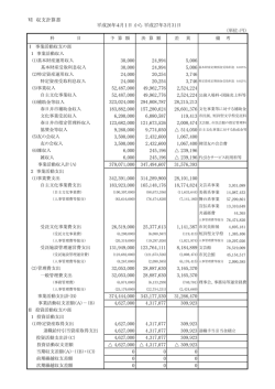 一般管理費支出 （単位：円） 科 目 予 算 額 決 算 額 差 異 備 考 Ⅰ 事業