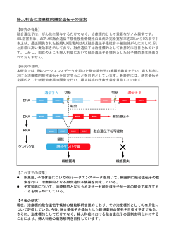 婦人科癌の治療標的融合遺伝子の探索
