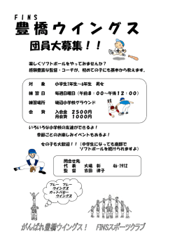 豊橋ウイングス
